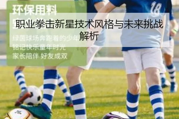 职业拳击新星技术风格与未来挑战解析